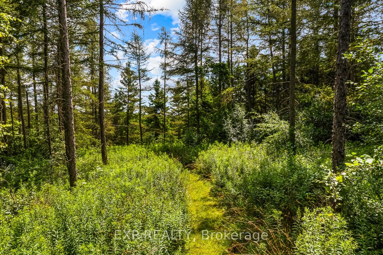 9307 Sideroad 9 Side Road