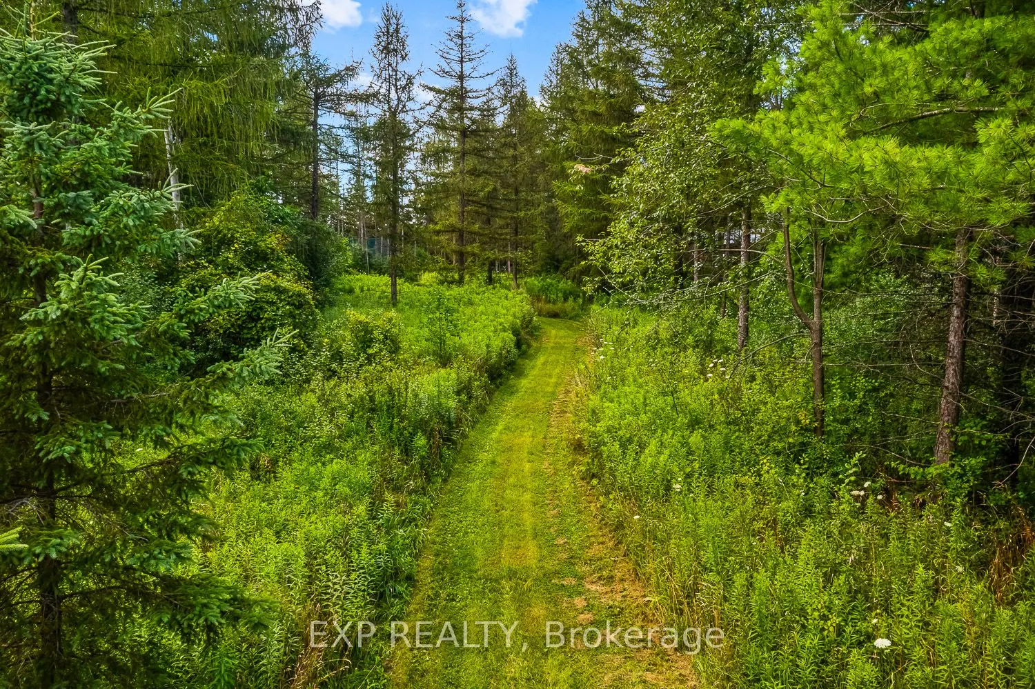9307 Sideroad 9 Side Road
