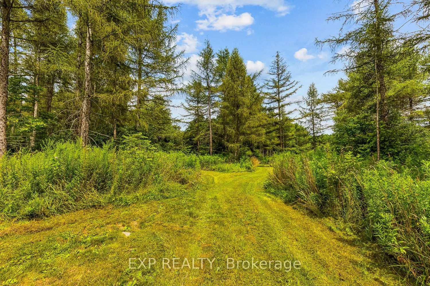 9307 Sideroad 9 Side Road