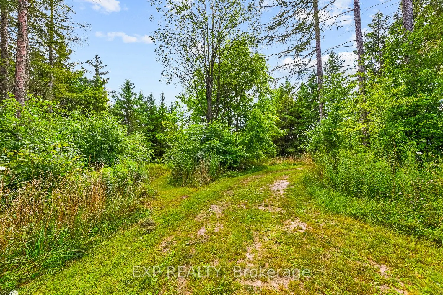 9307 Sideroad 9 Side Road