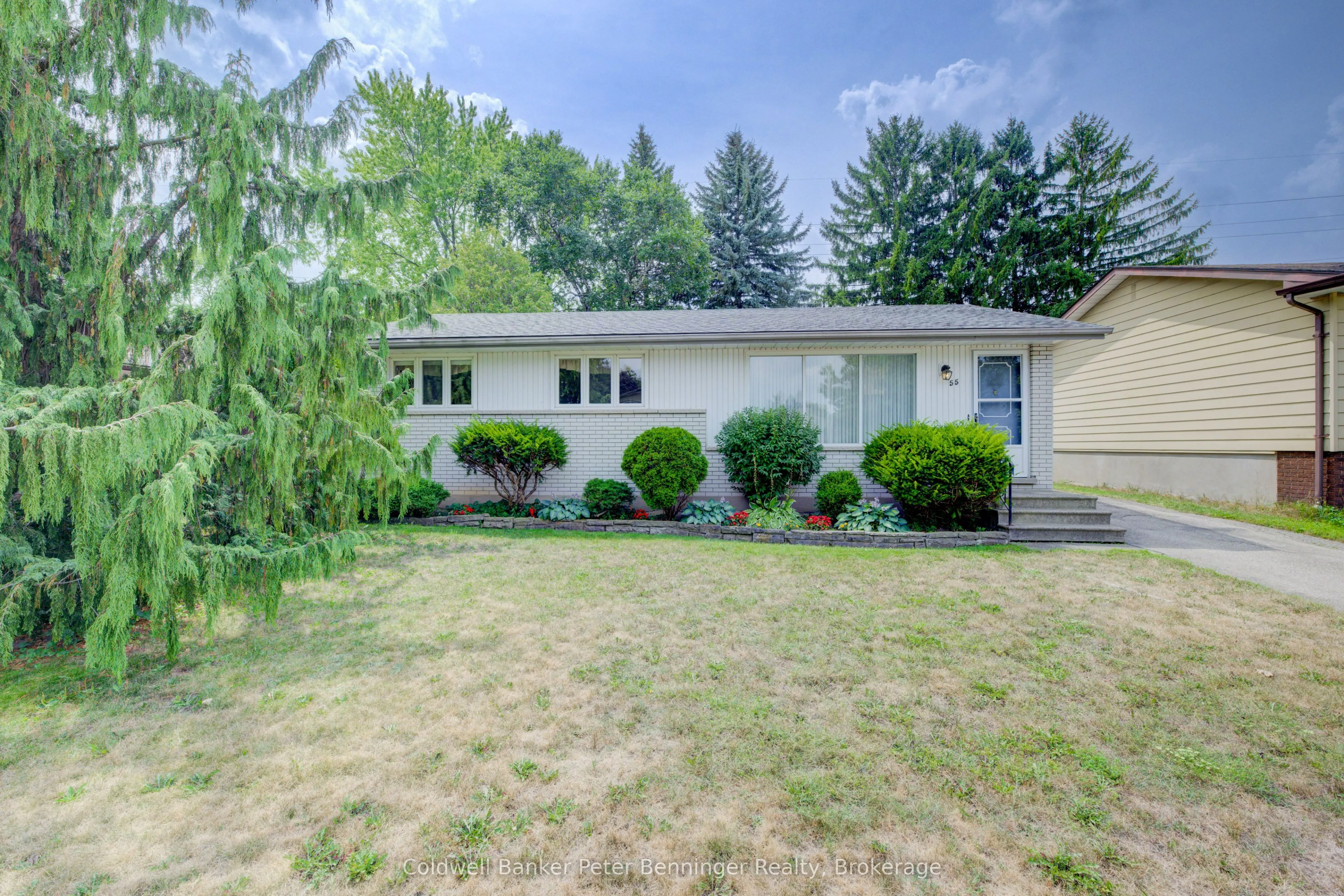 55 Dreger Avenue