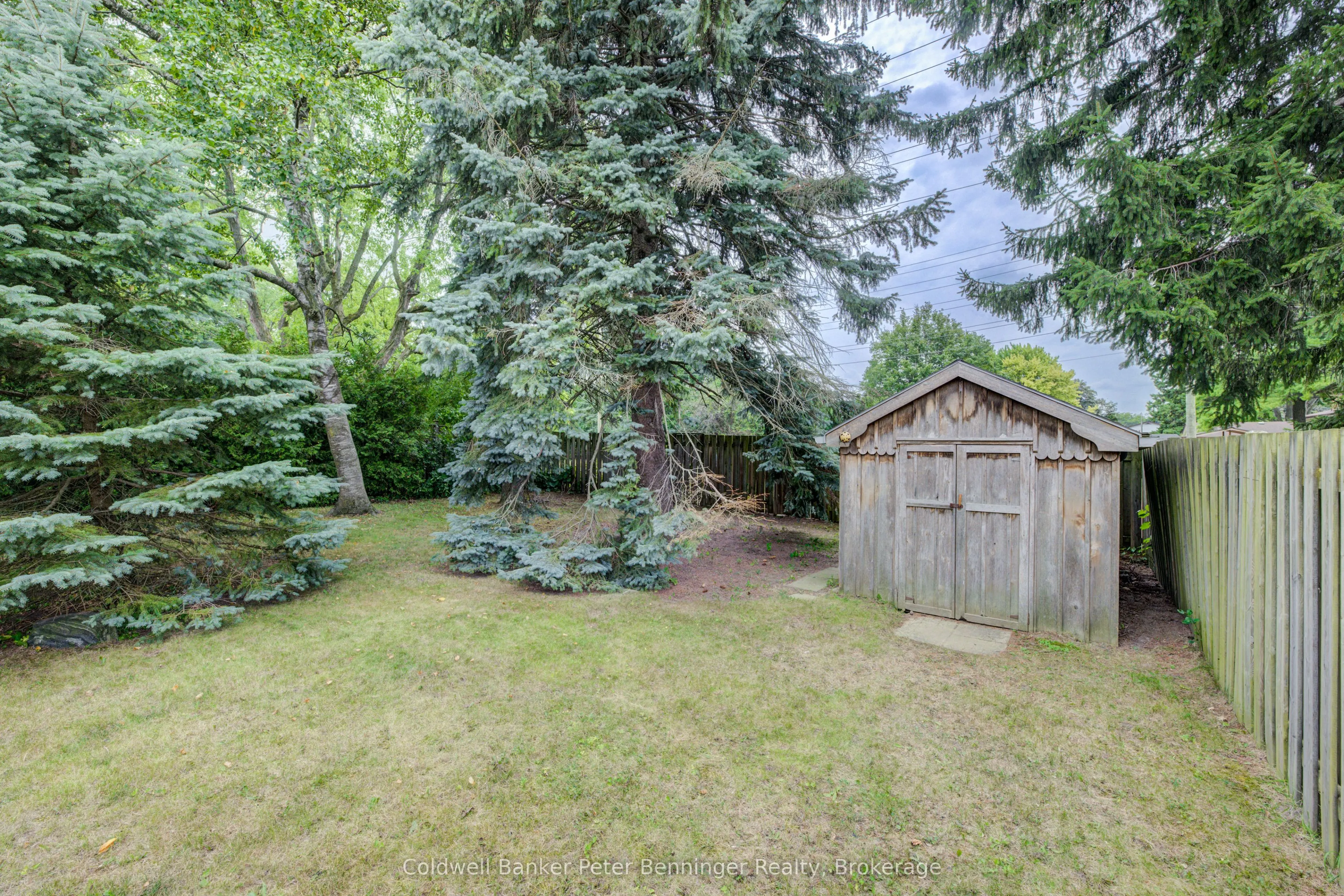 55 Dreger Avenue