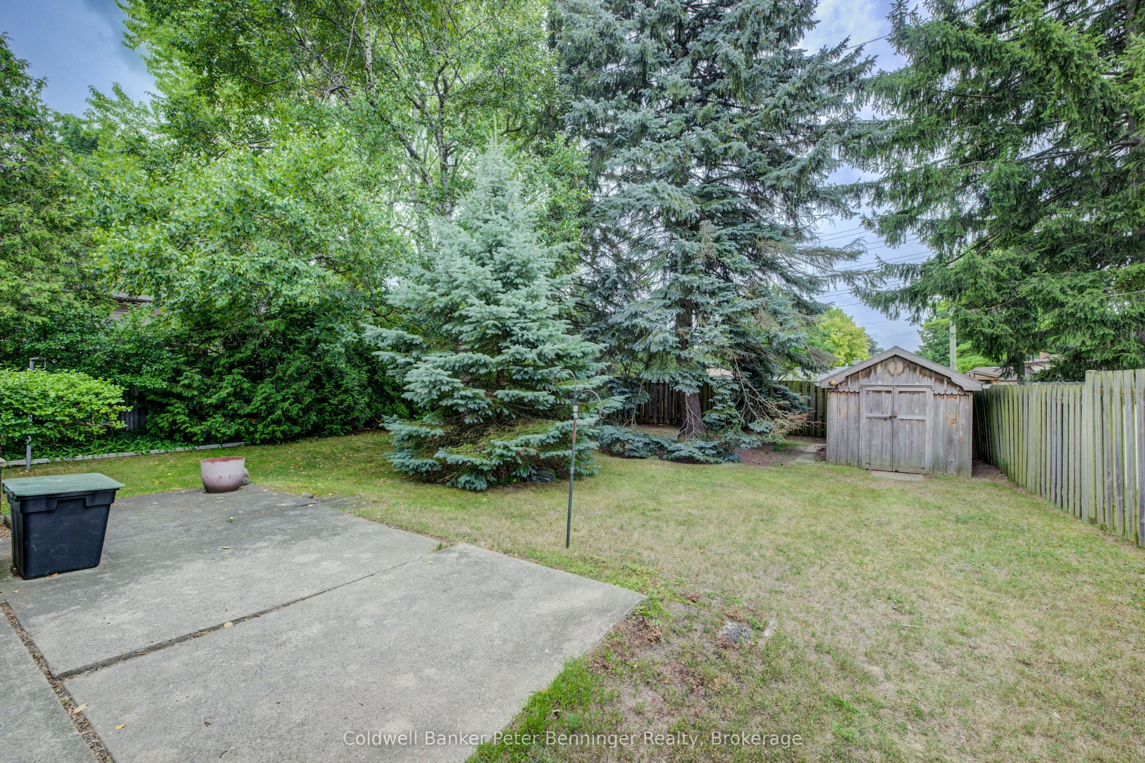 55 Dreger Avenue