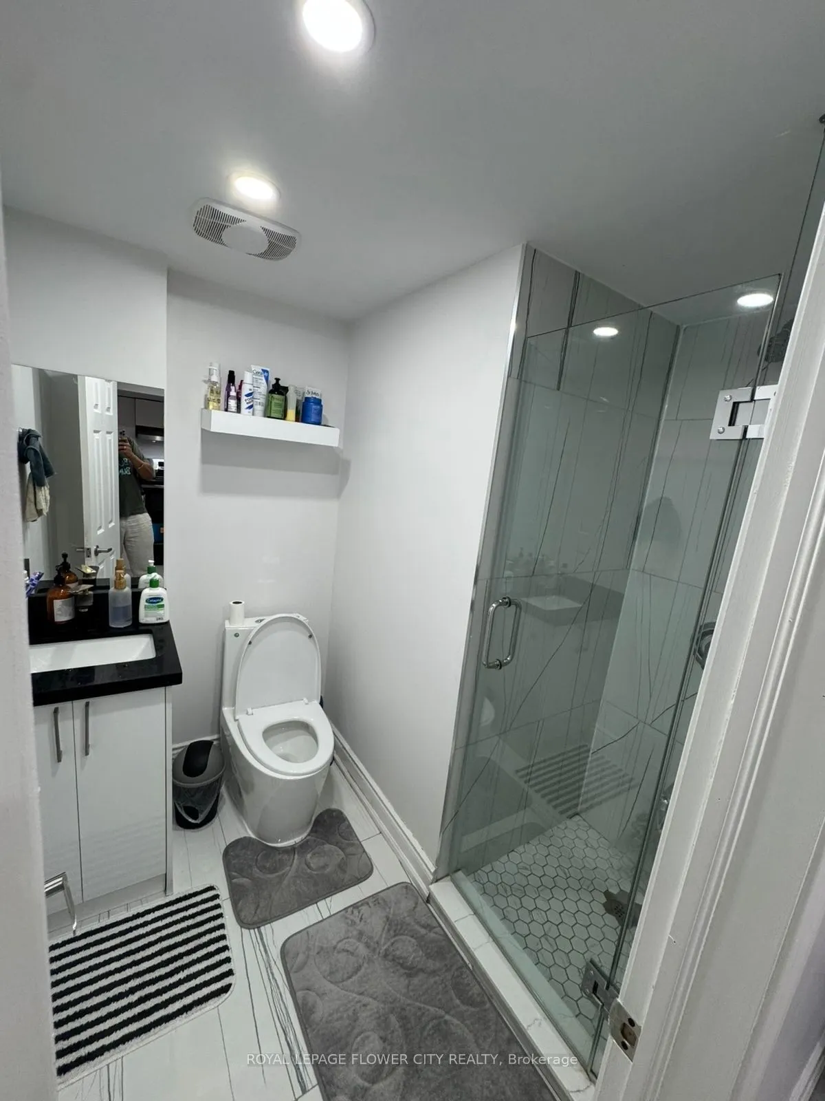 12 Osgoode Street, #BSMT