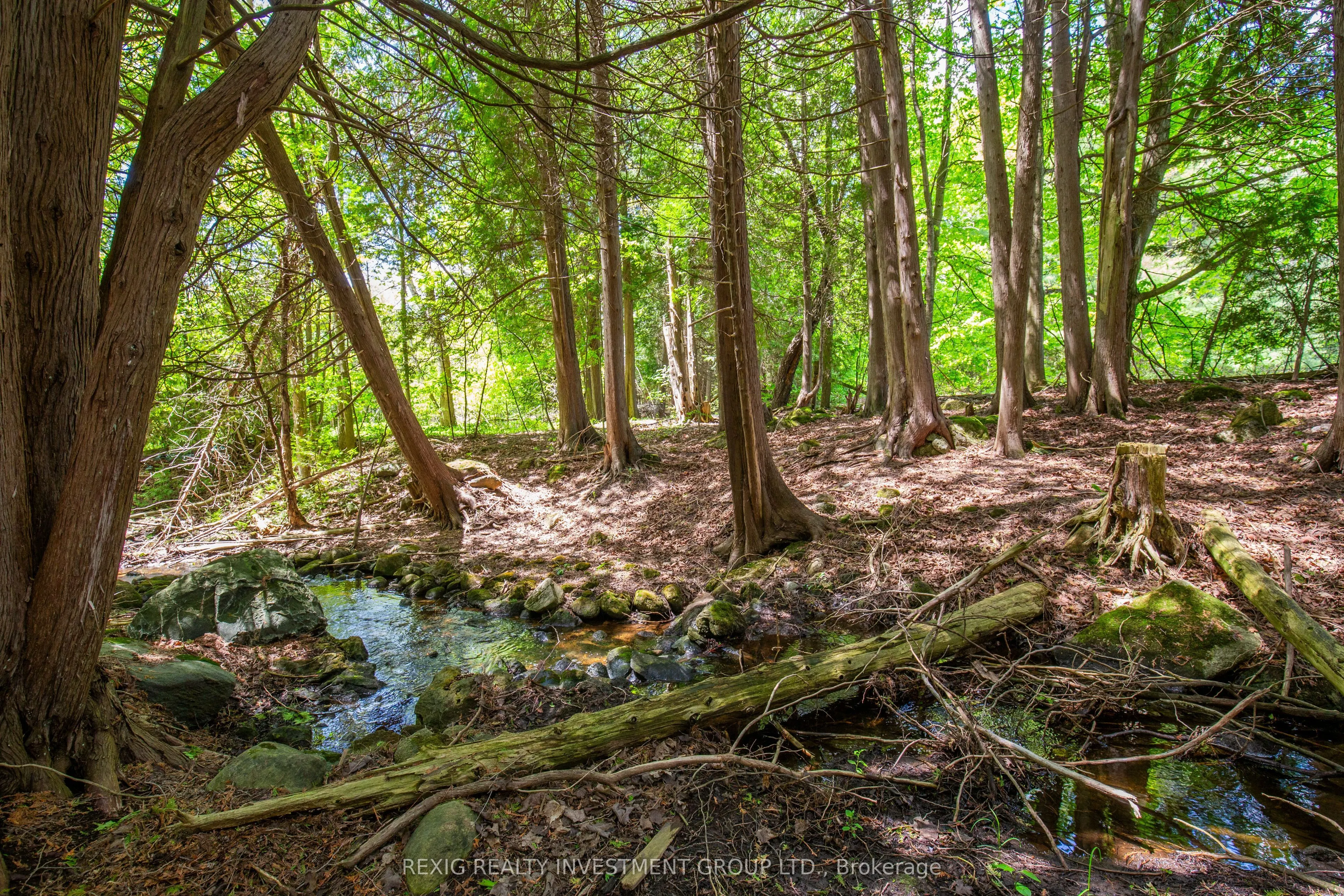 5114 Allan Path