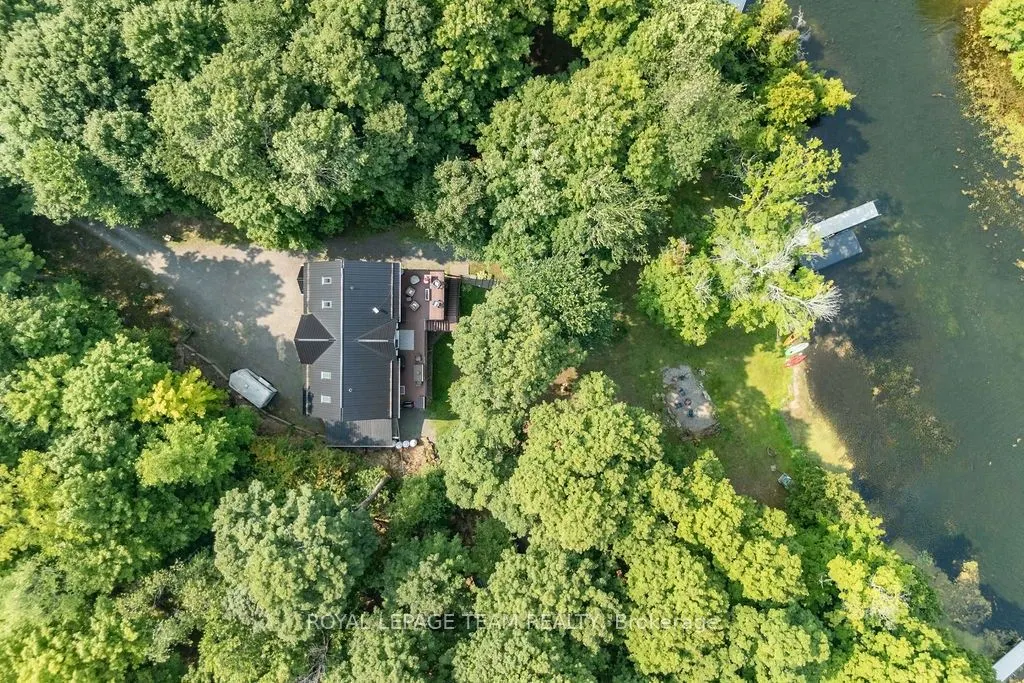 104 Penny Lane