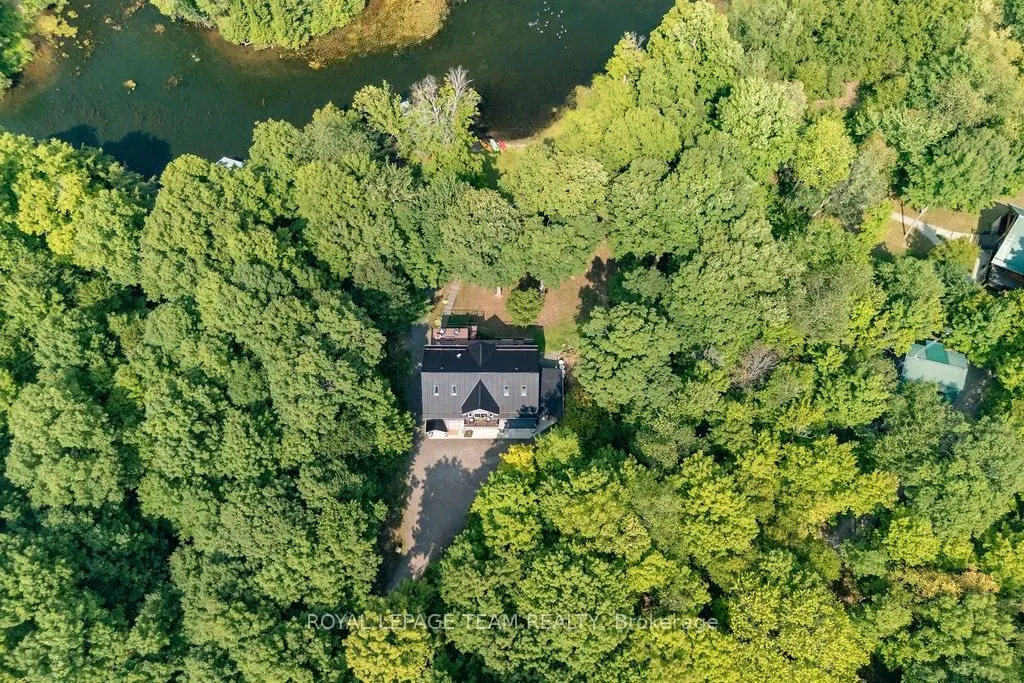 104 Penny Lane