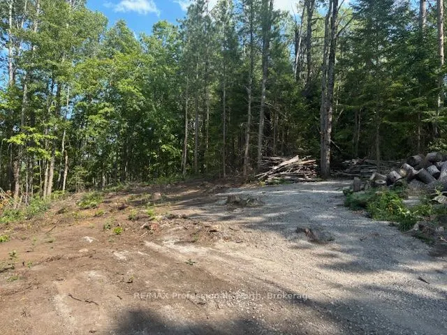 2816 Gelert Road