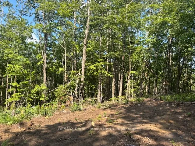 2816 Gelert Road