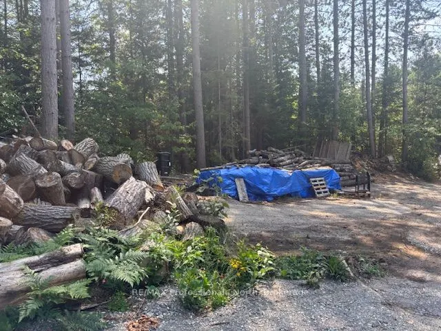 2816 Gelert Road