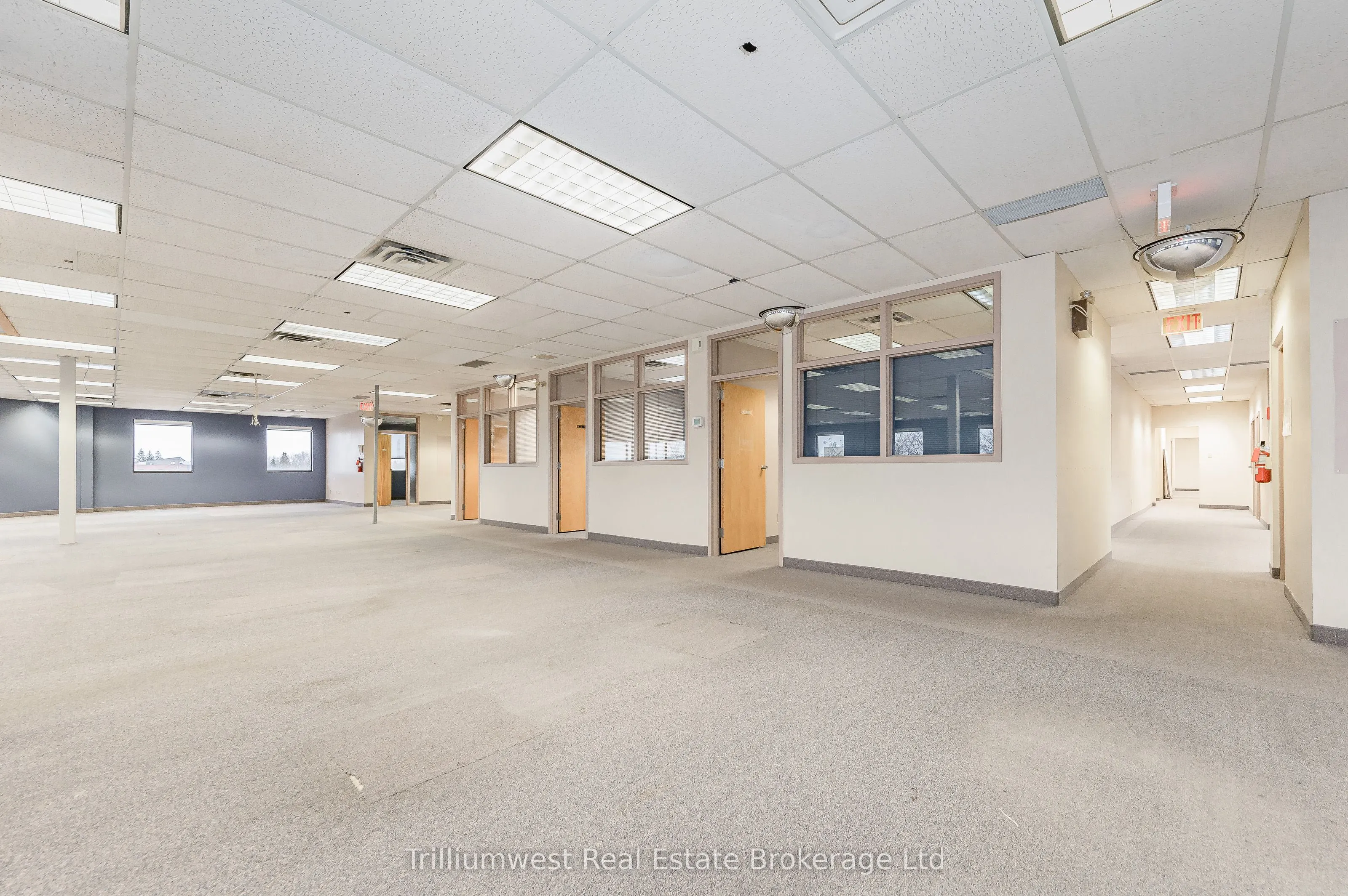 450 Speedvale Ave W Avenue, #203