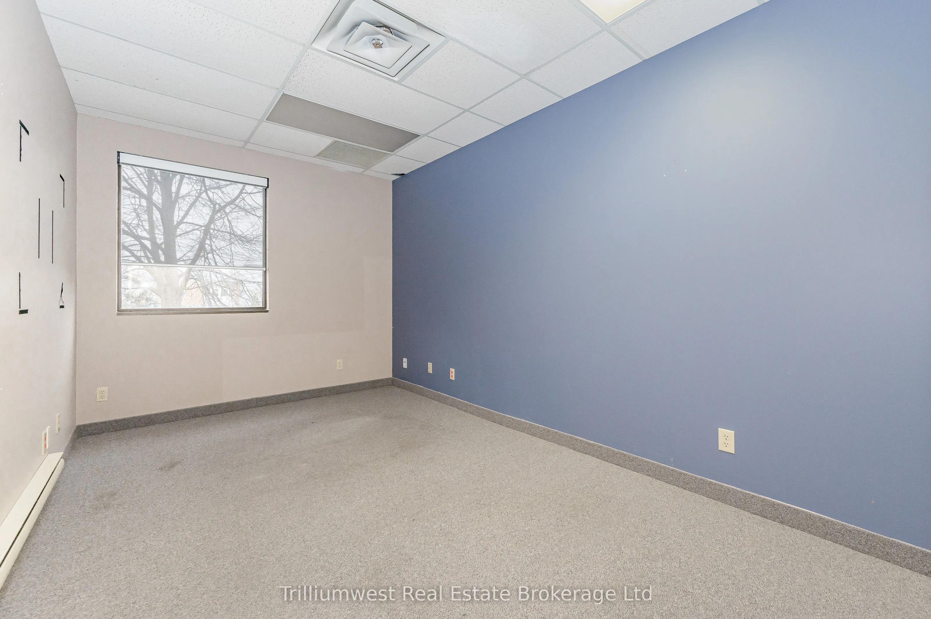 450 Speedvale Ave W Avenue, #203