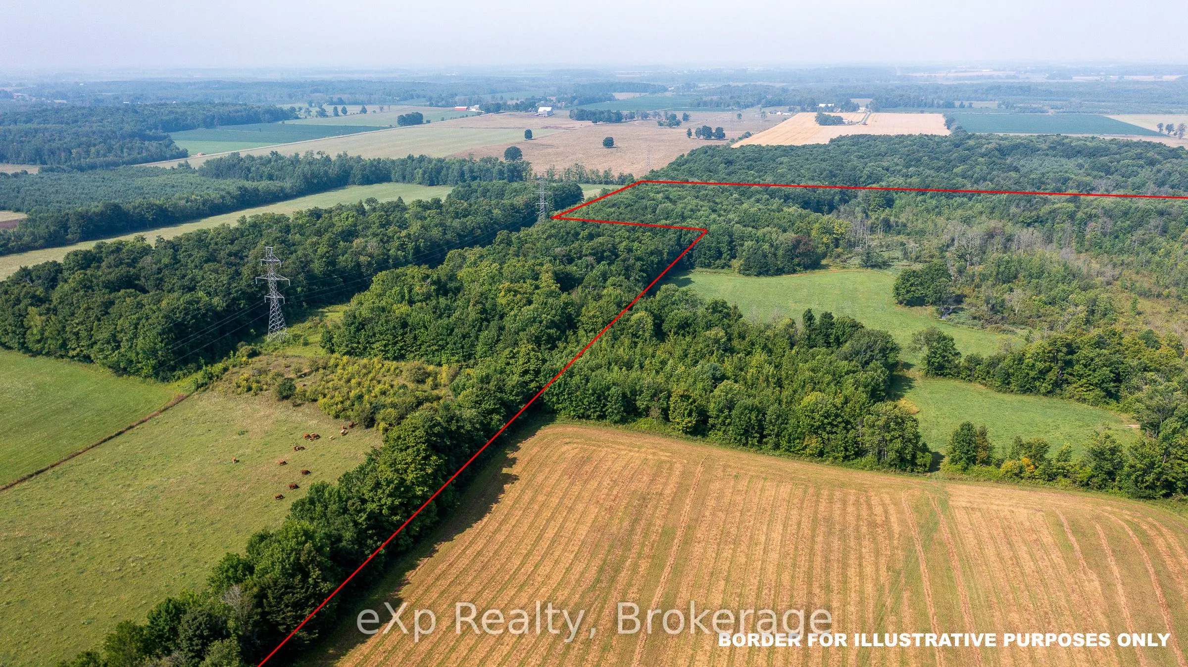 116826 Grey Road 3