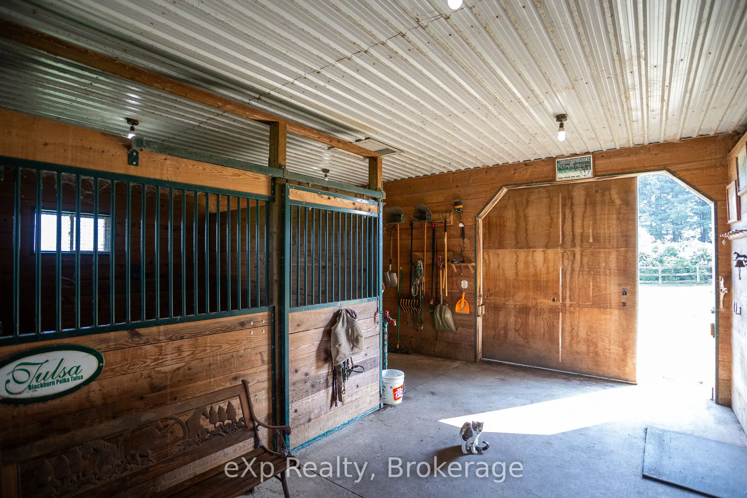 116826 Grey Road 3
