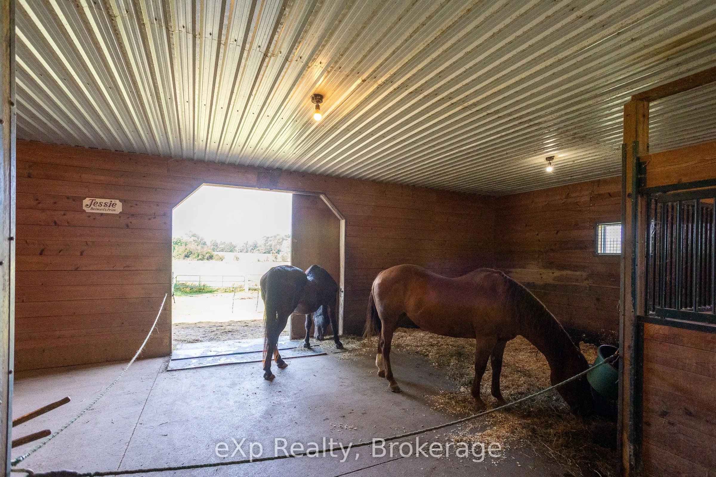 116826 Grey Road 3