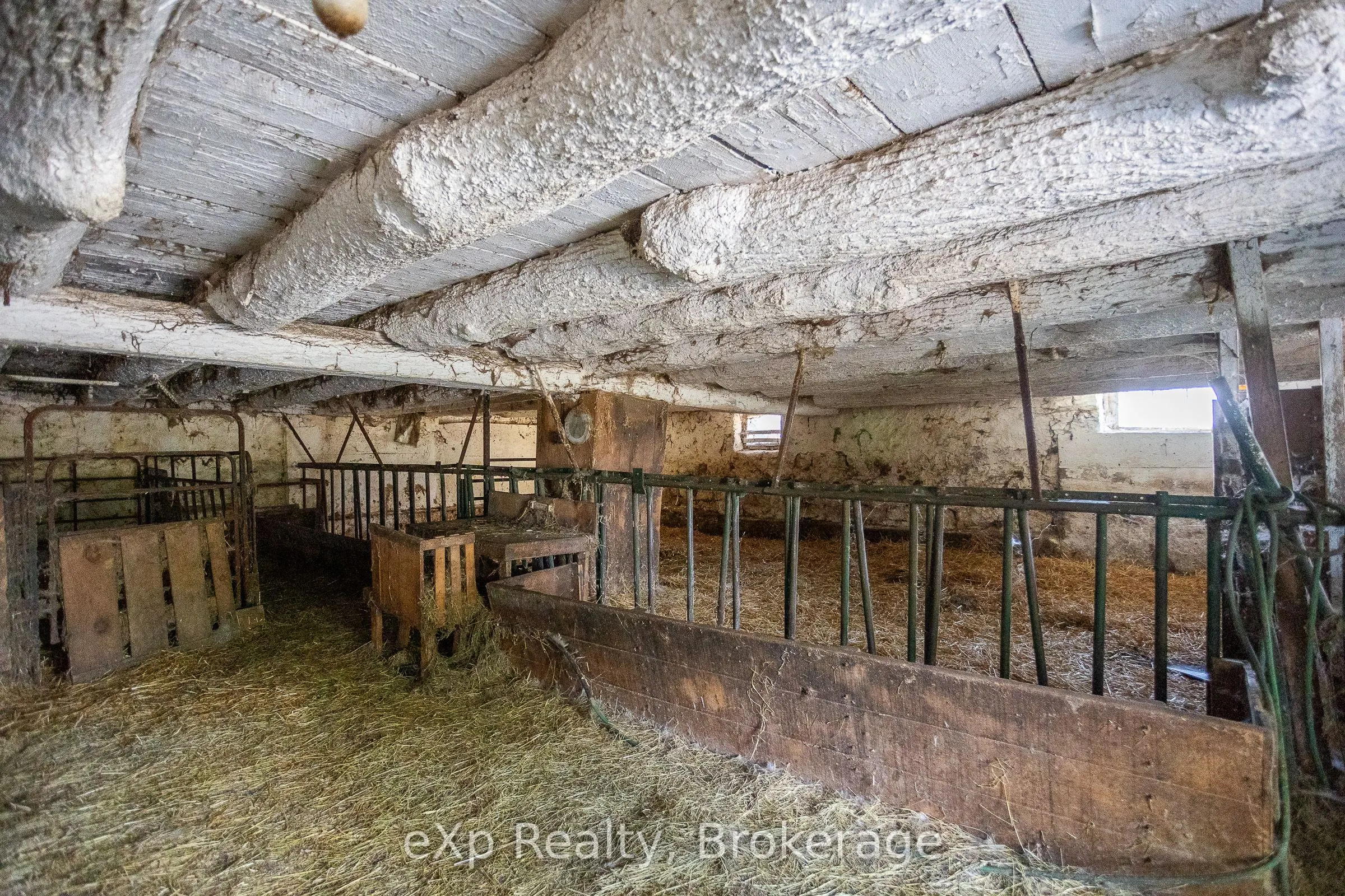 116826 Grey Road 3