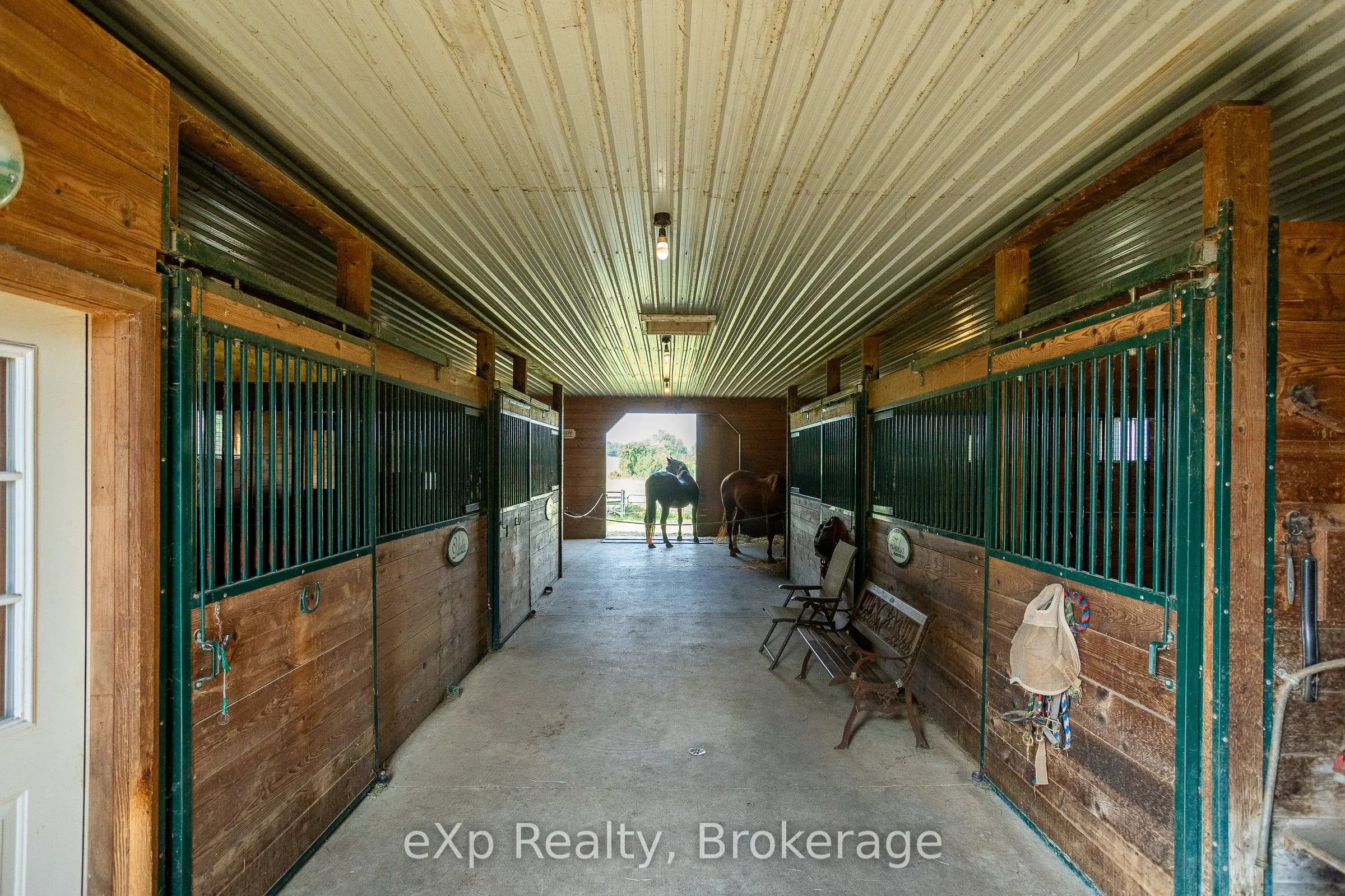 116826 Grey Road 3