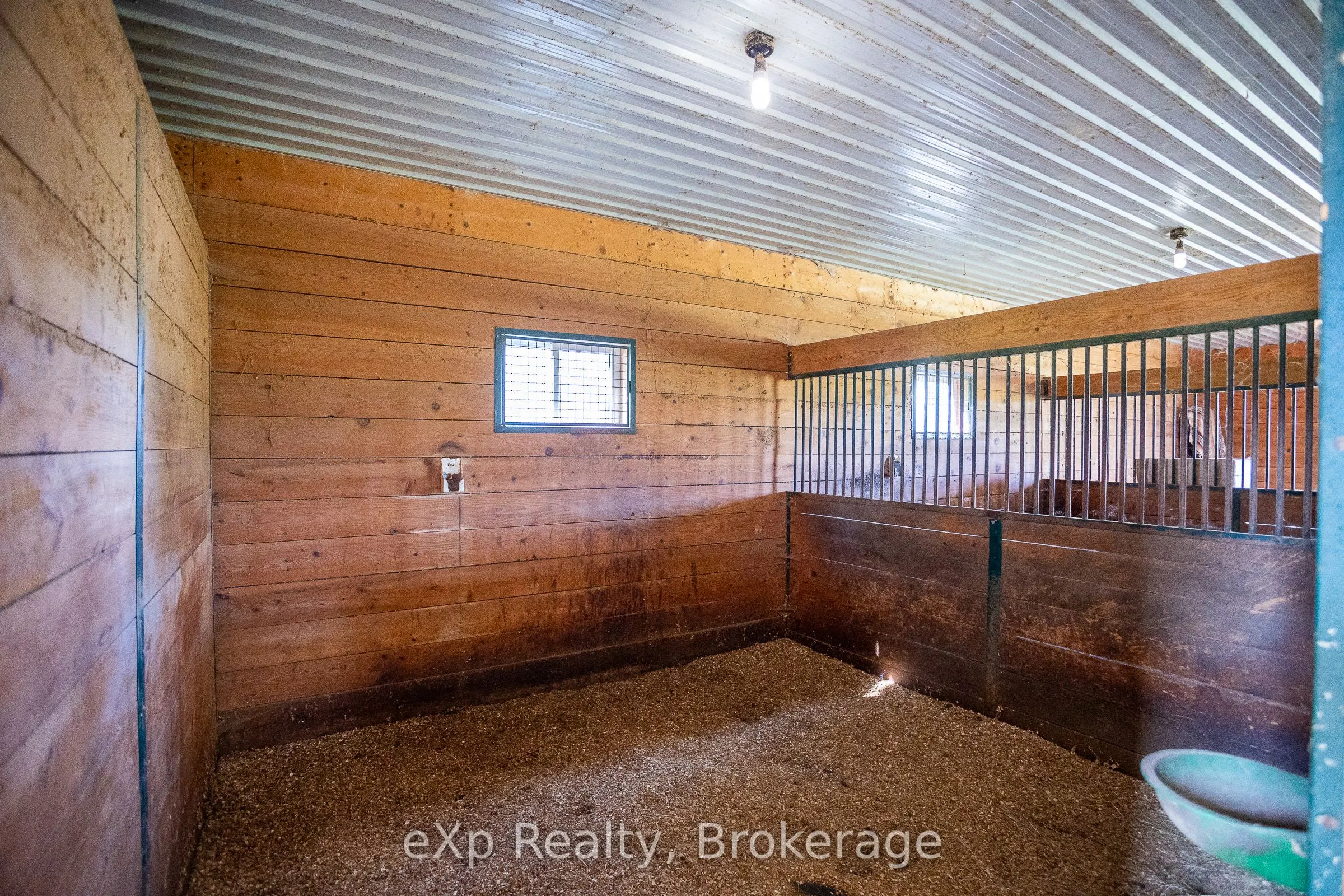 116826 Grey Road 3