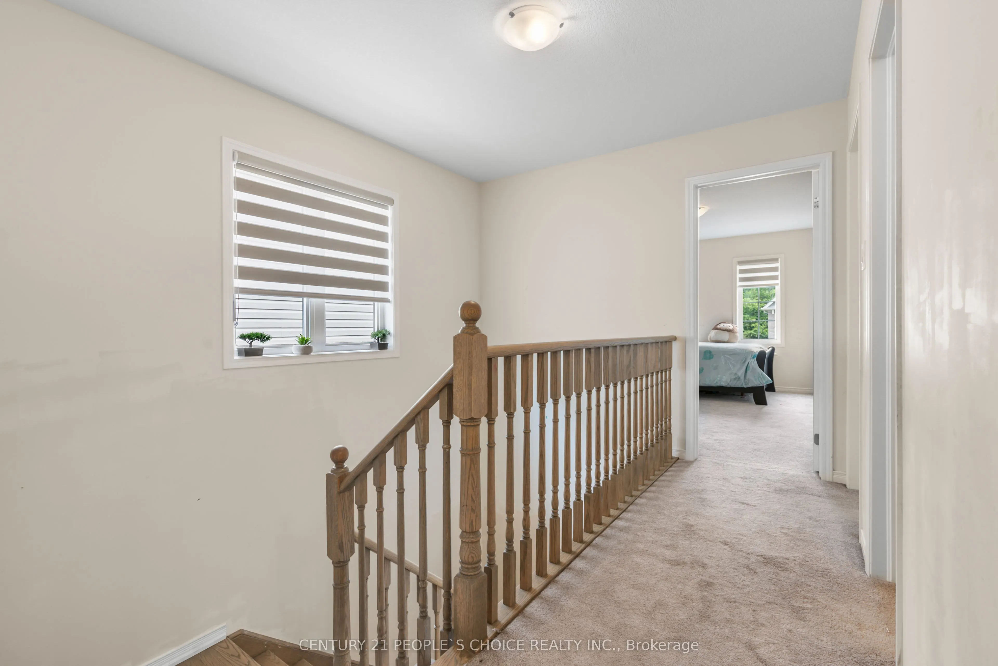 8670 Chickory Trail