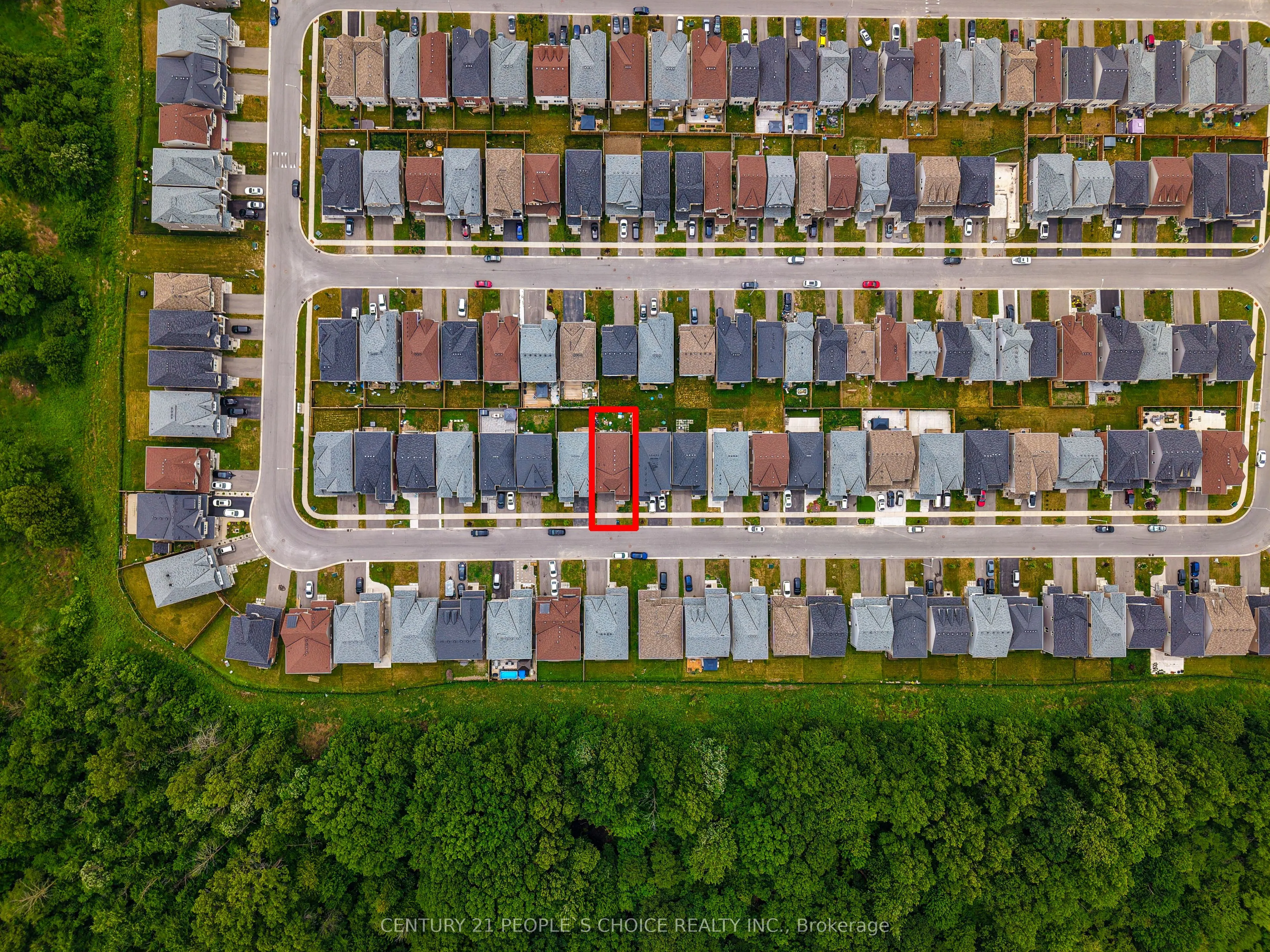8670 Chickory Trail