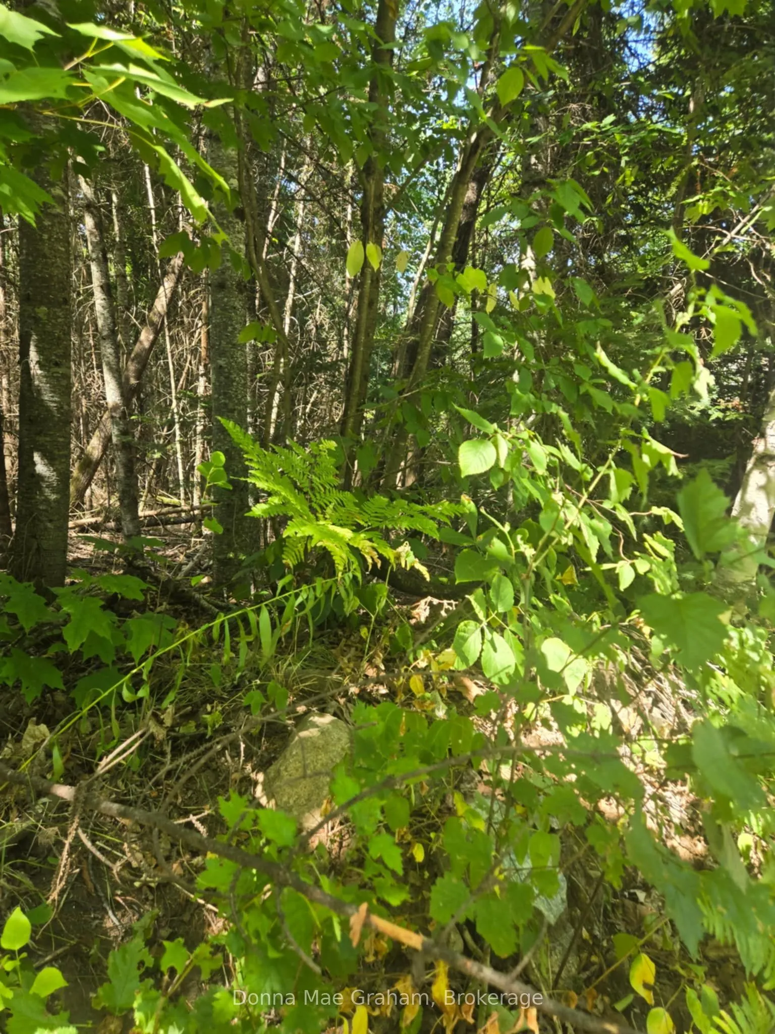 0 MacDuff Road Acres E