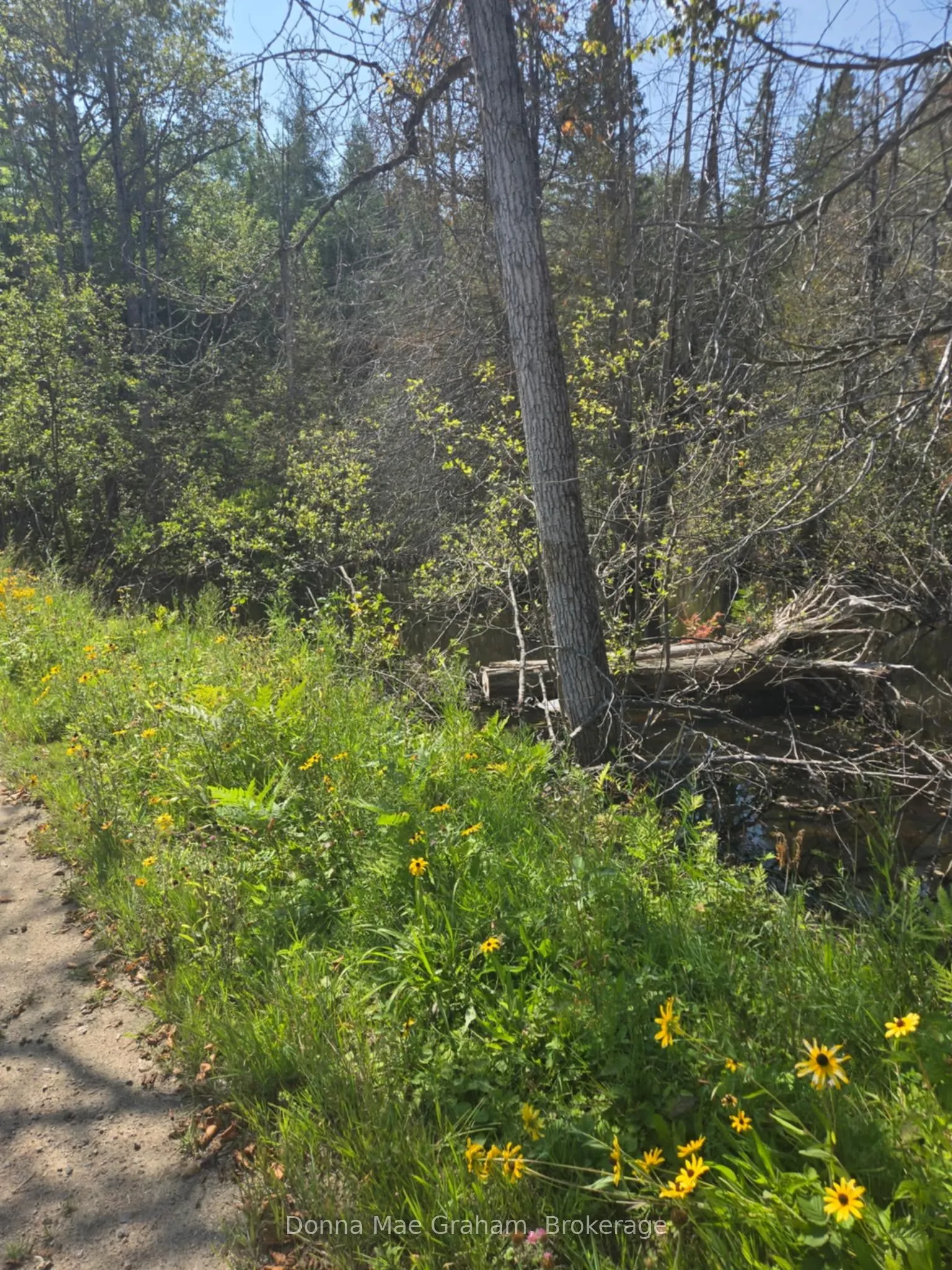 0 MacDuff Road Acres E