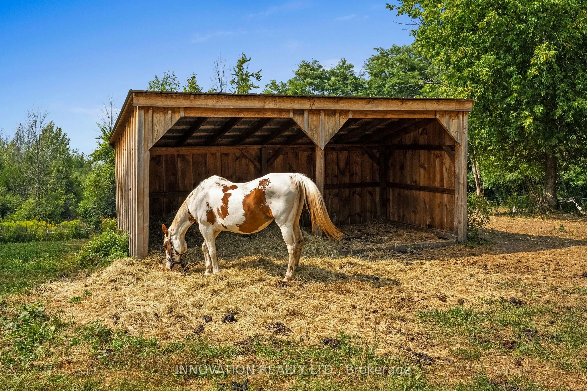 2229 County Road 20 Road