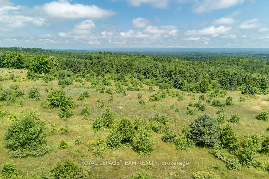 00 Mountain View Road