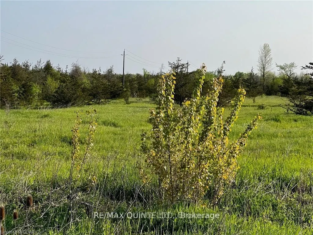 0 Rosseau Crossroad