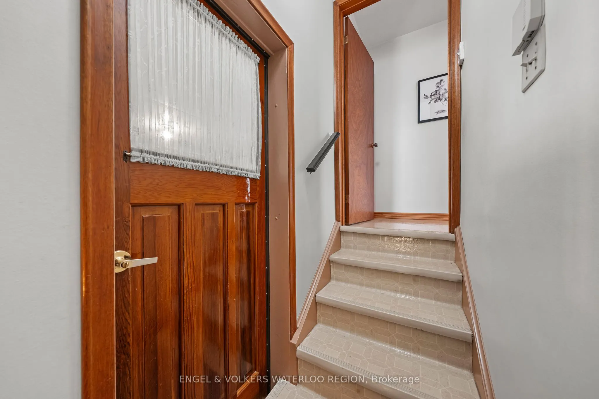 161 Schweitzer Street