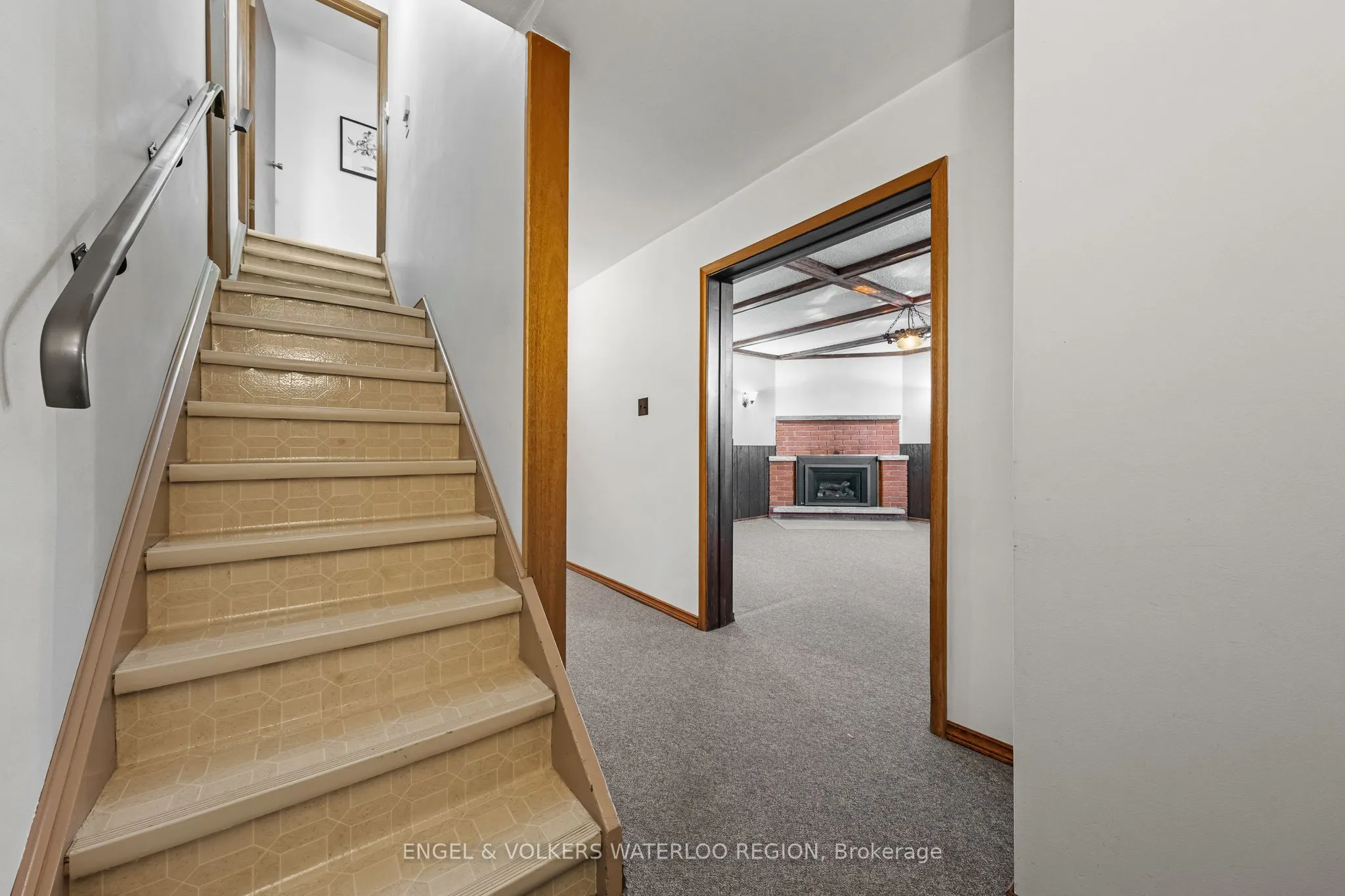 161 Schweitzer Street