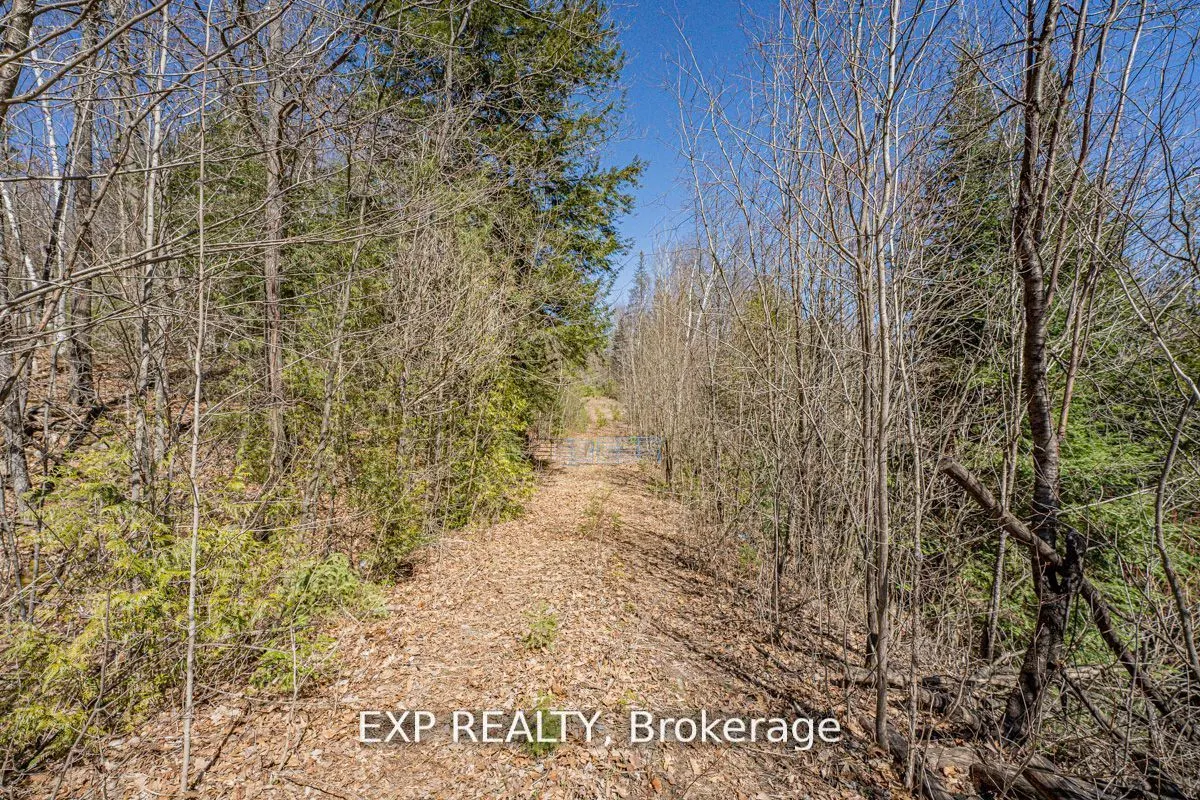 3349 Deep Bay Road