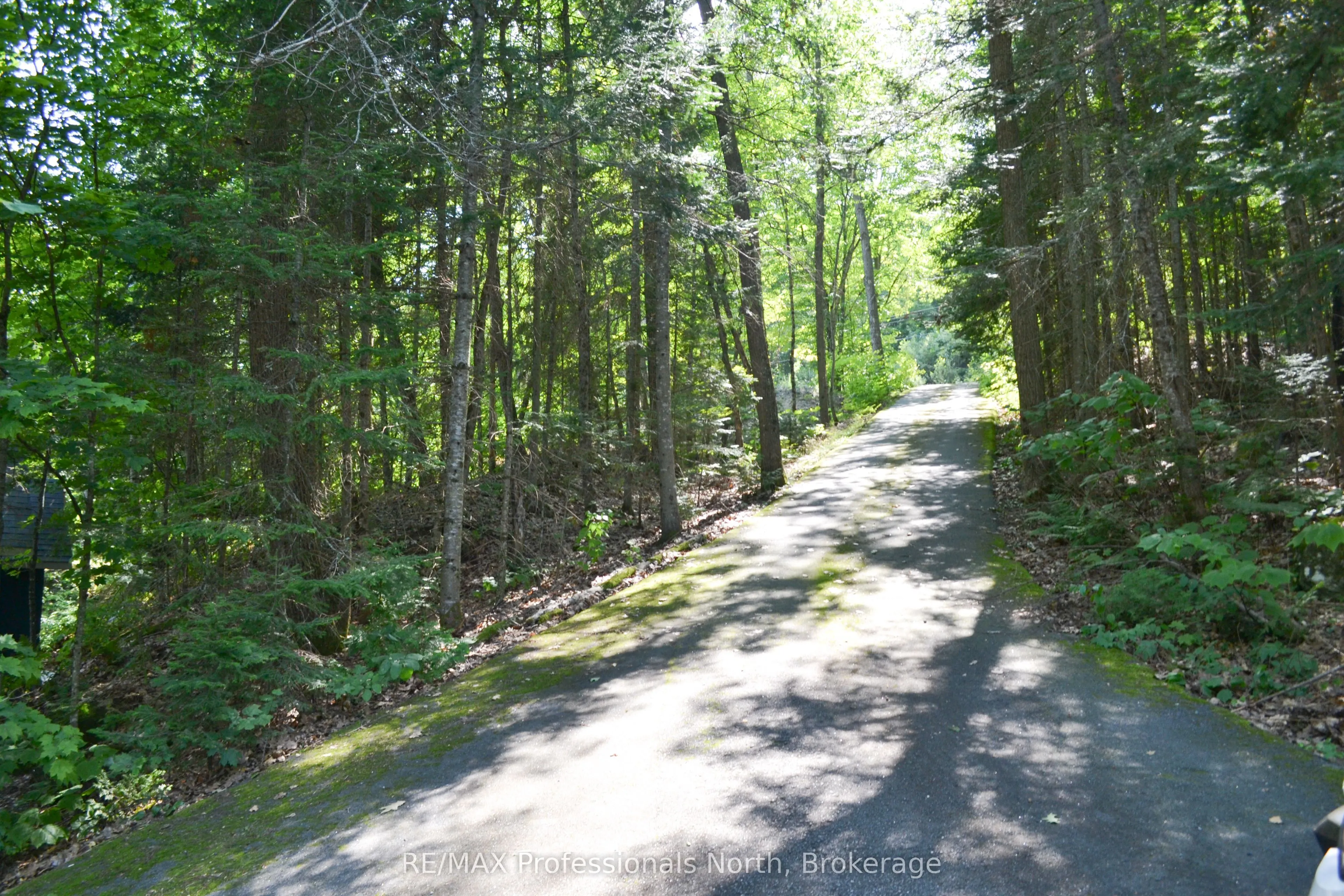 542 Hazard Hill