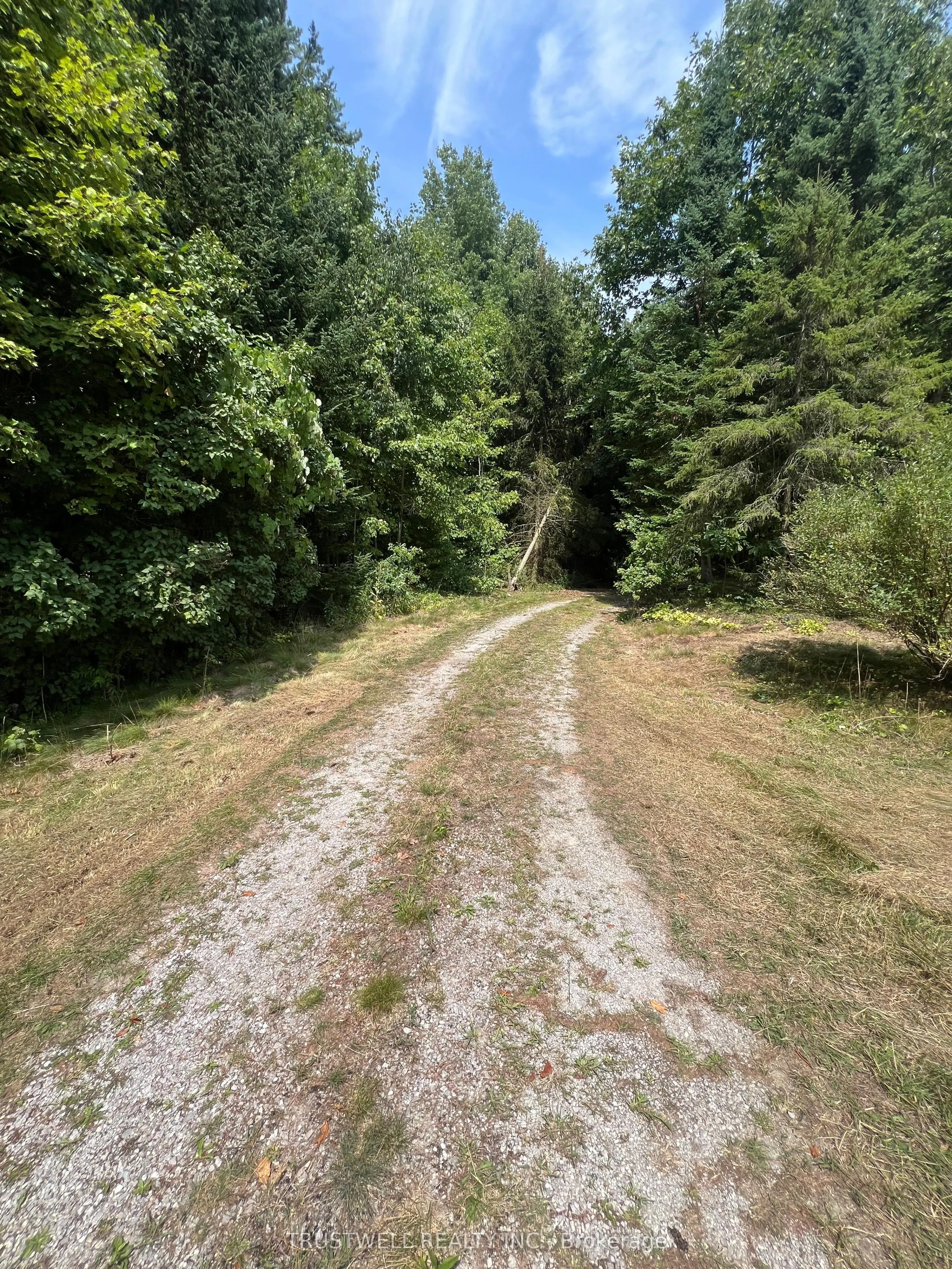1095 Forestry Farm Road