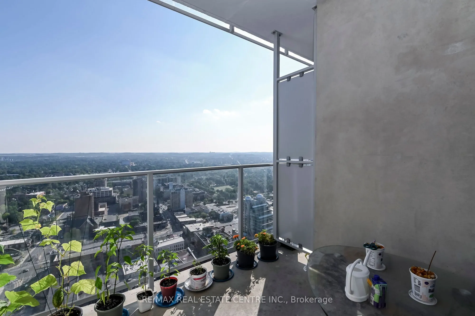 60 Frederick Street, #3613