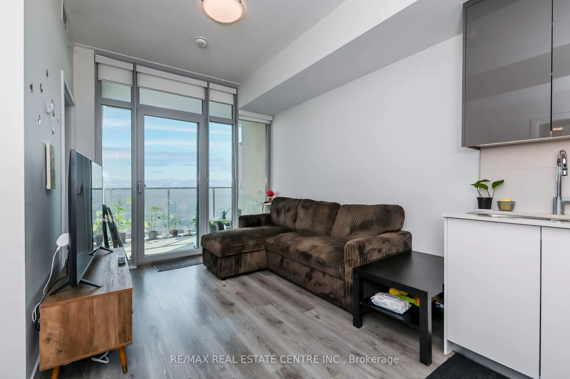 60 Frederick Street, #3613