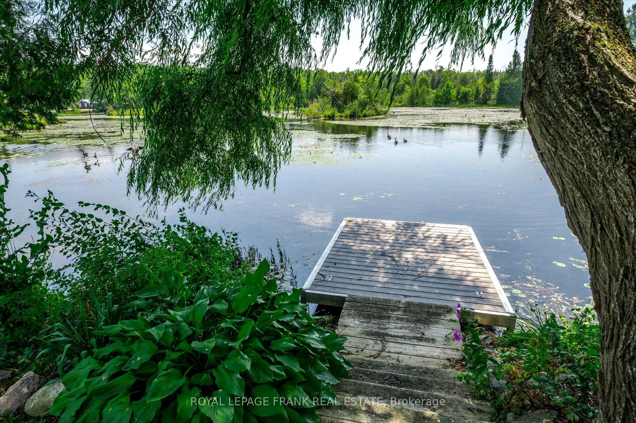 187 River Lane