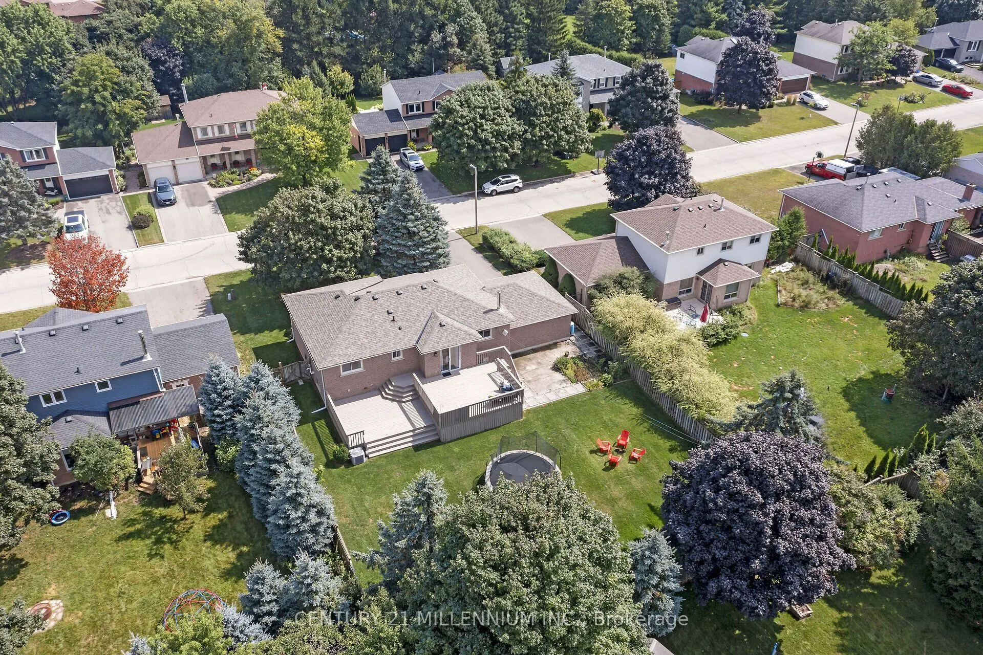 38 Erinlea Crescent