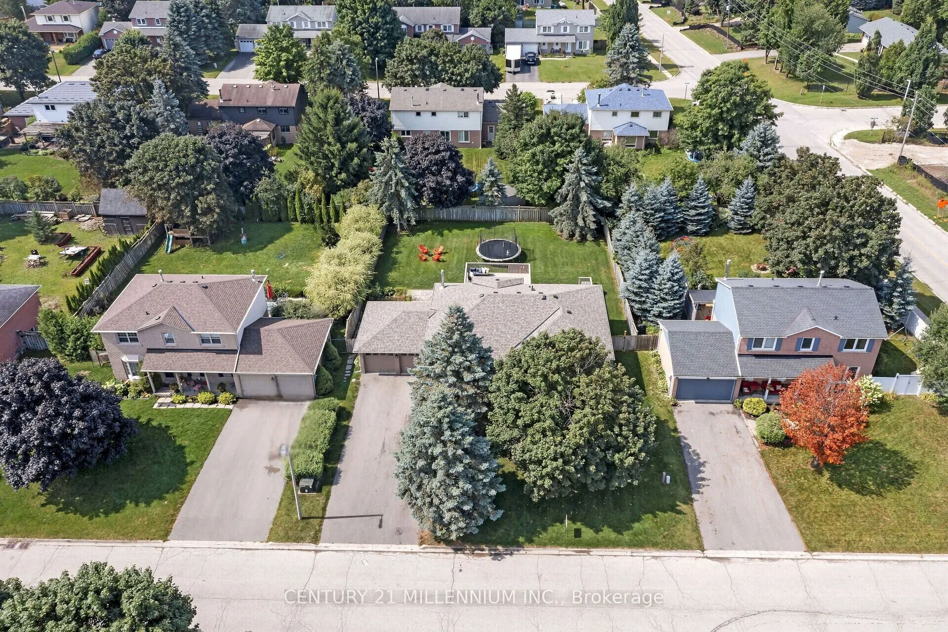 38 Erinlea Crescent