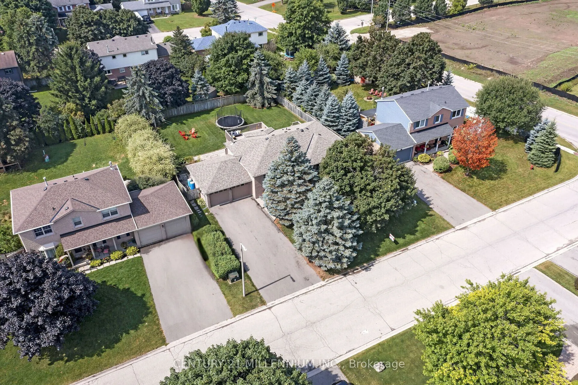 38 Erinlea Crescent