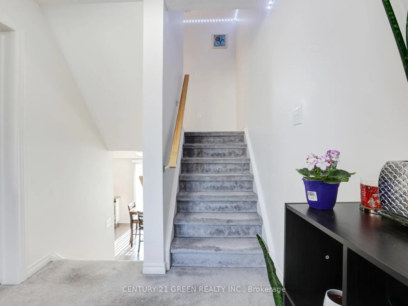 12 Poplar Drive, #11