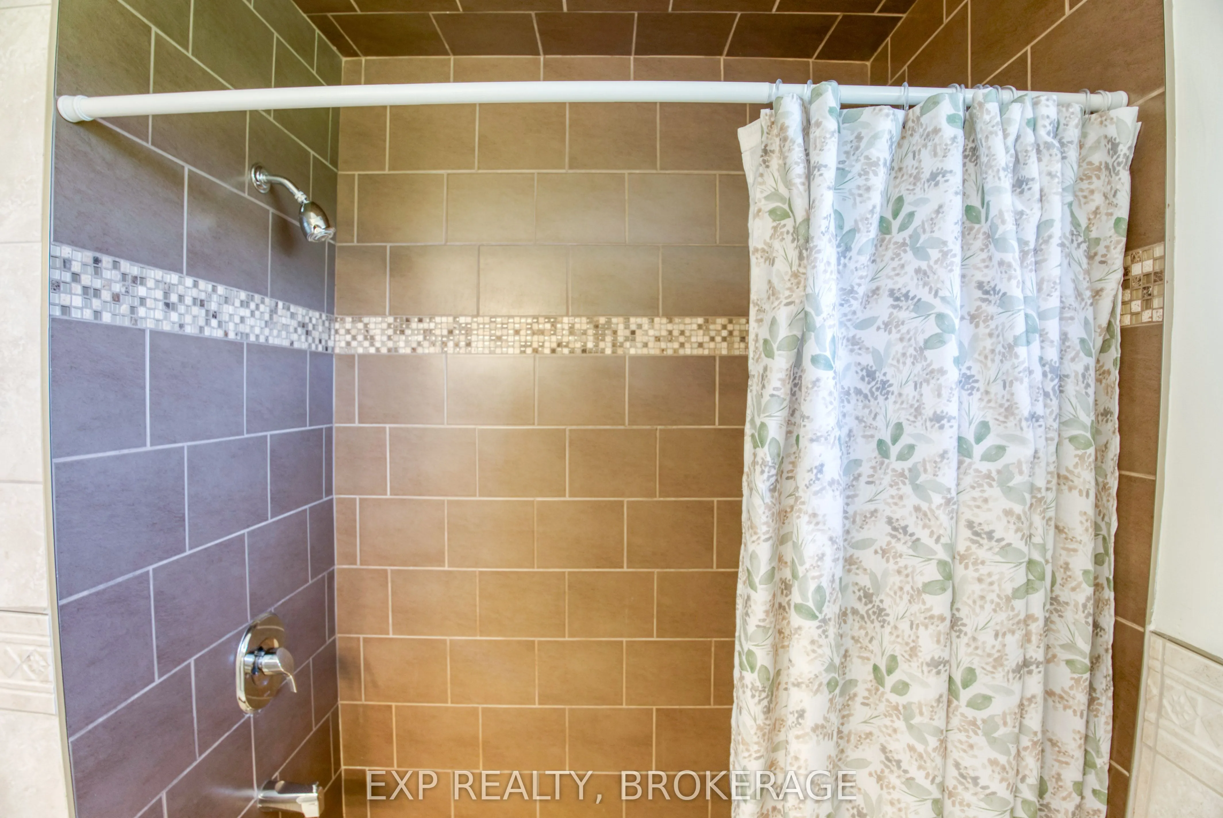 121 IVY RIDGE Road