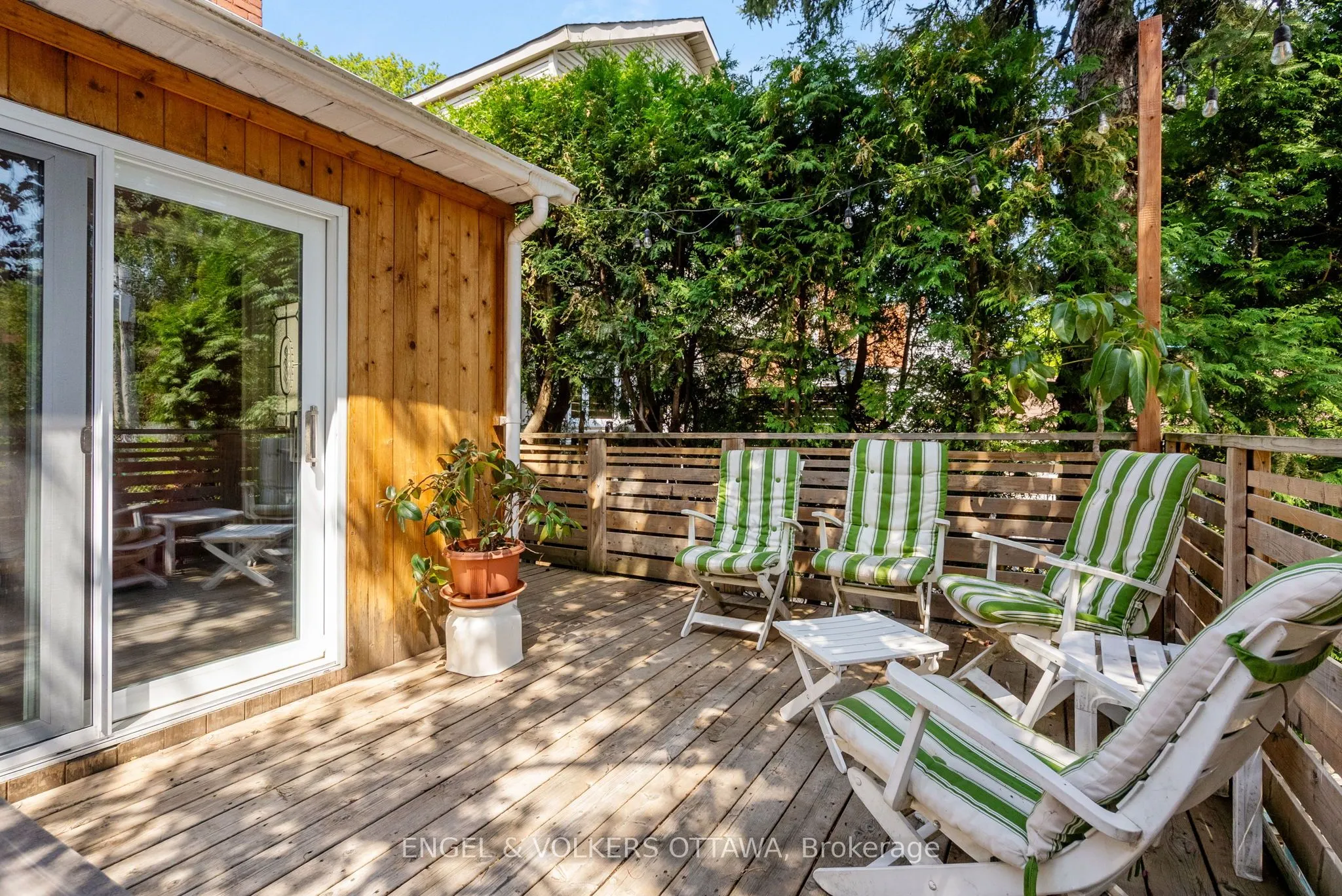 26 Pansy Avenue