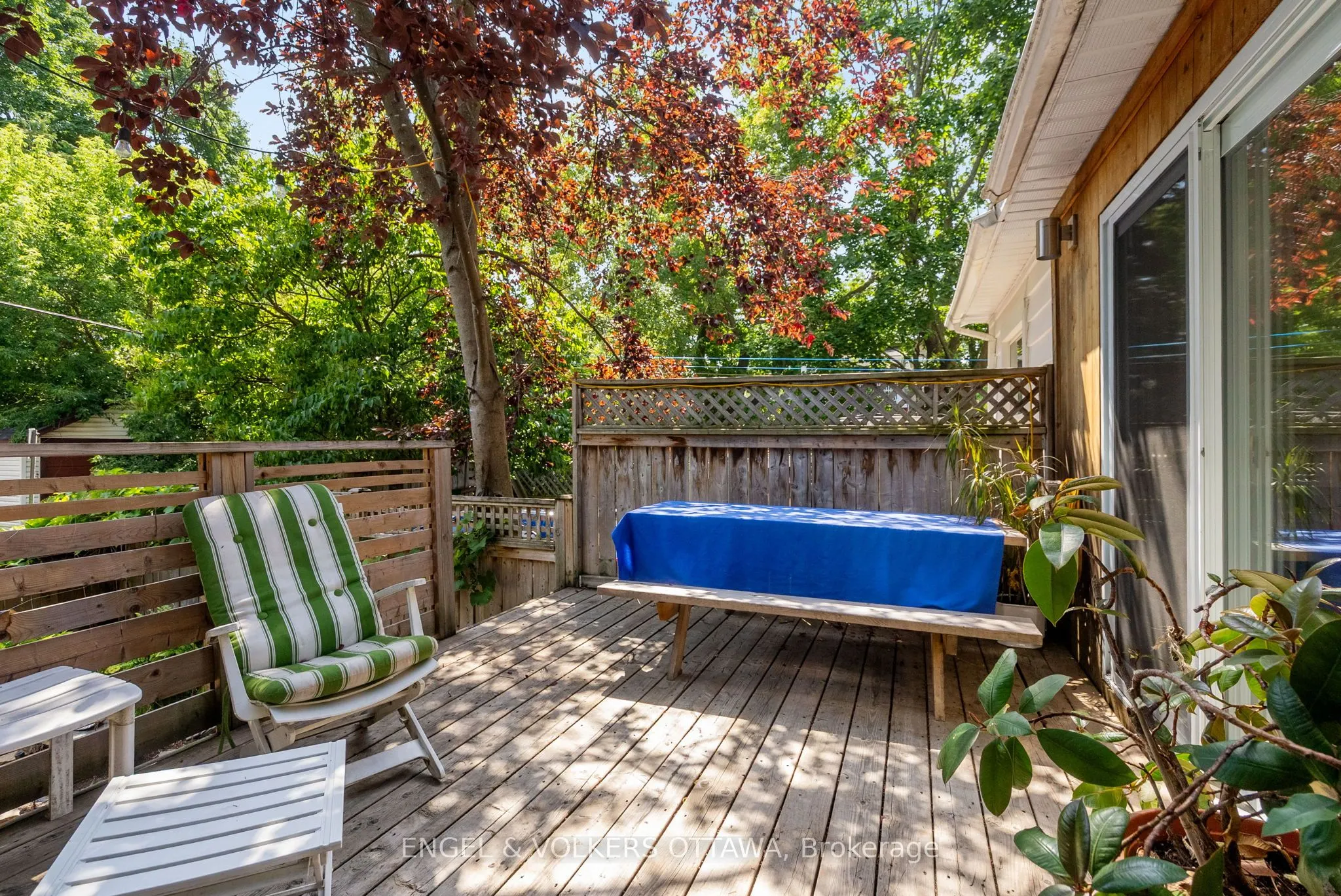 26 Pansy Avenue