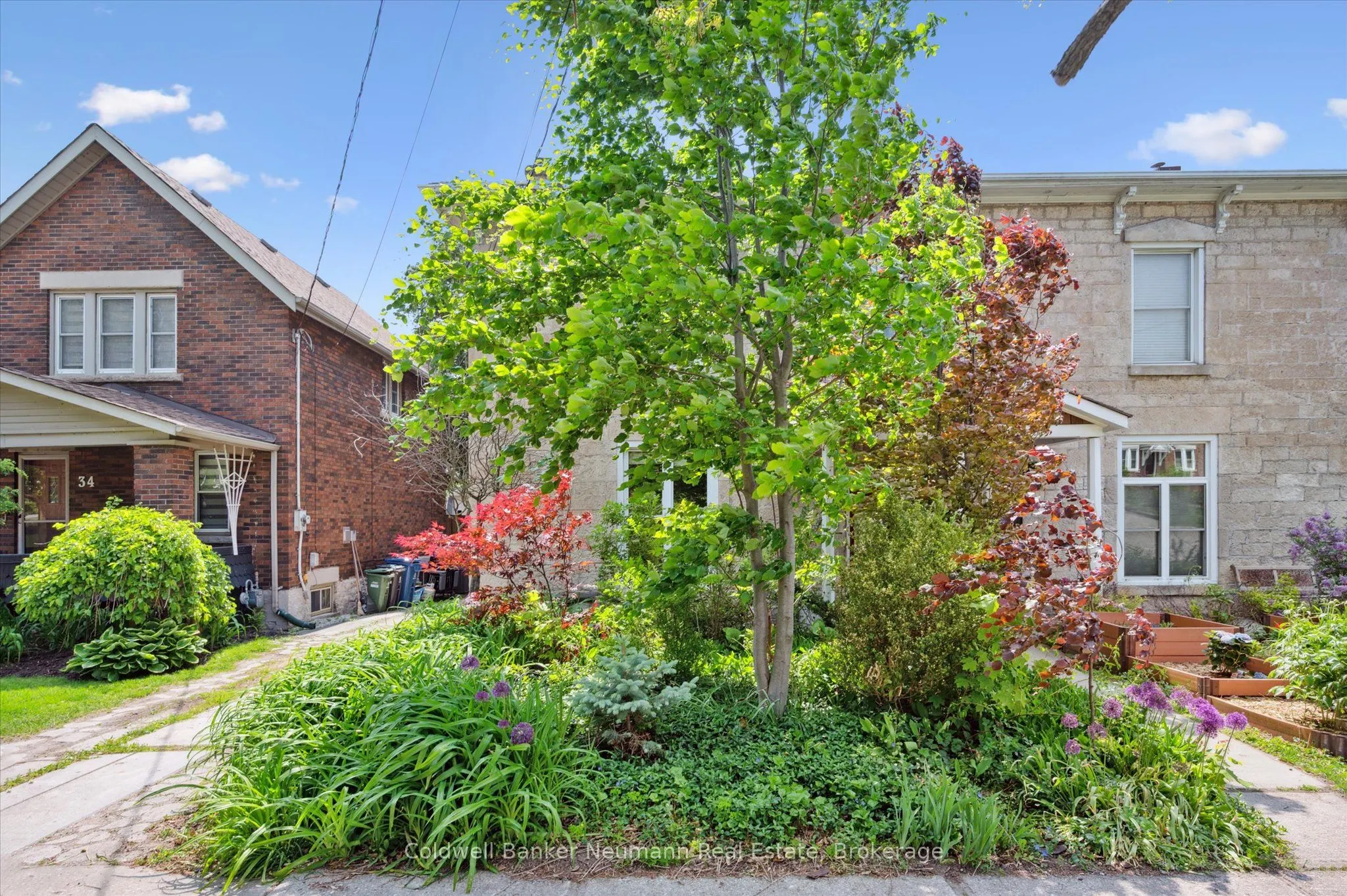 36 Waterloo Avenue