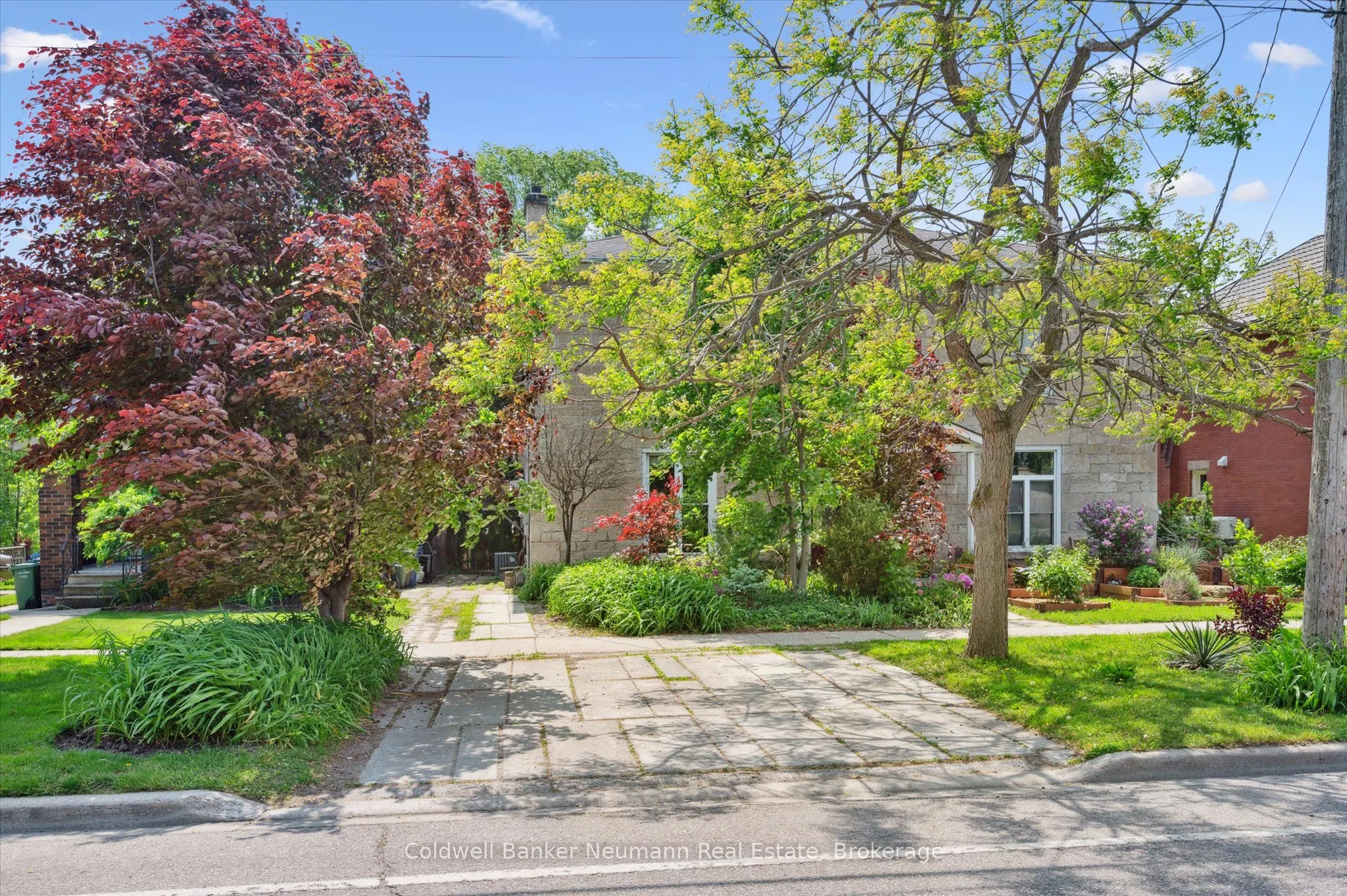 36 Waterloo Avenue