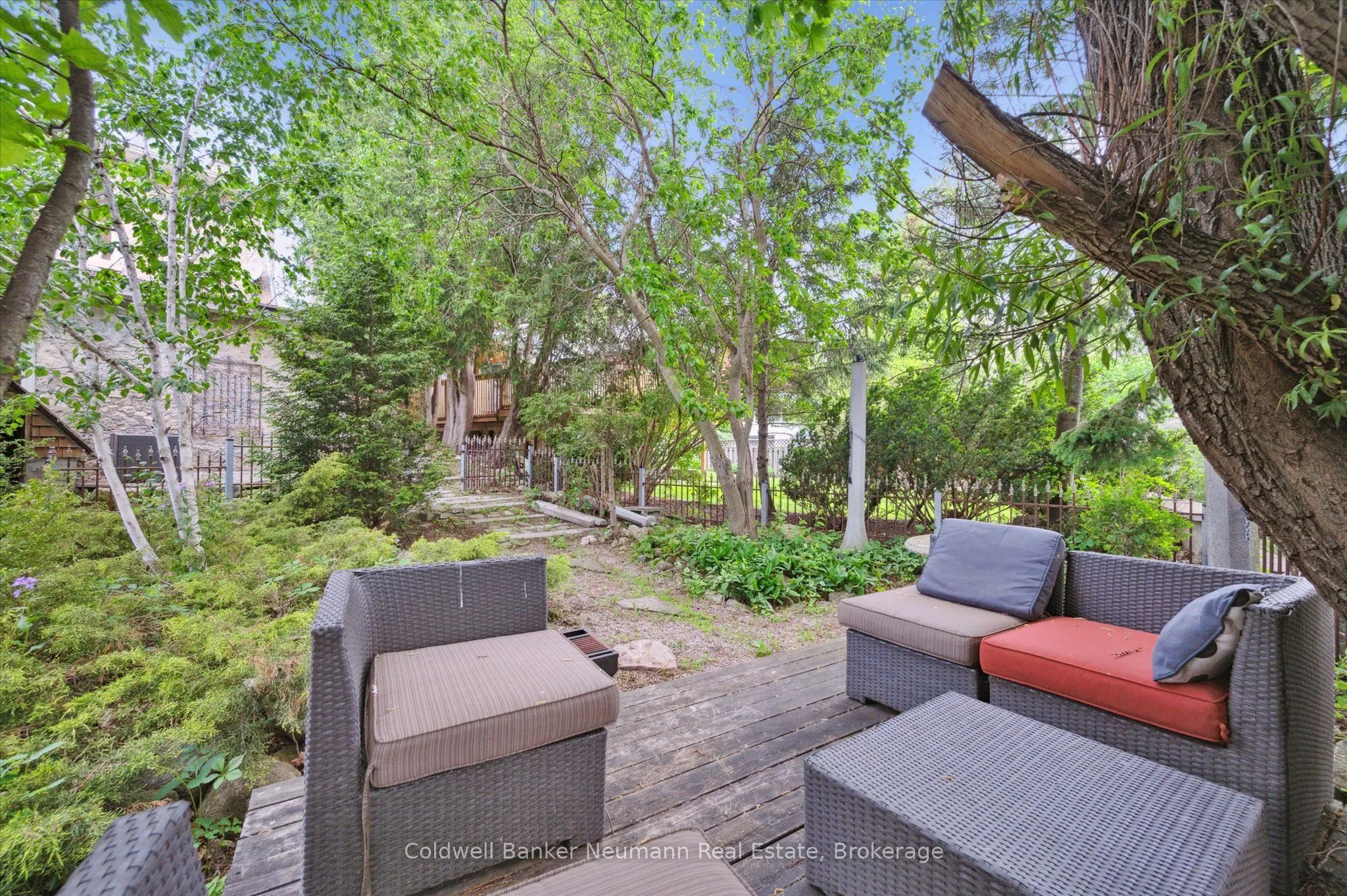 36 Waterloo Avenue