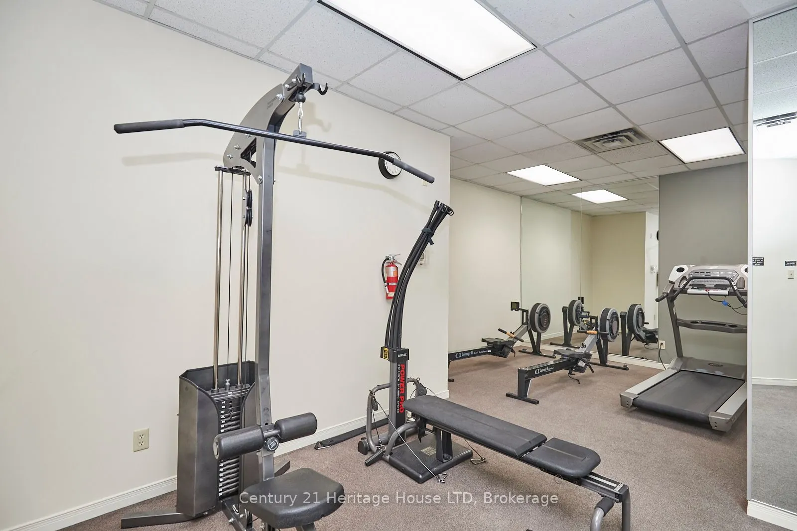8111 Forest Glen Drive, #317