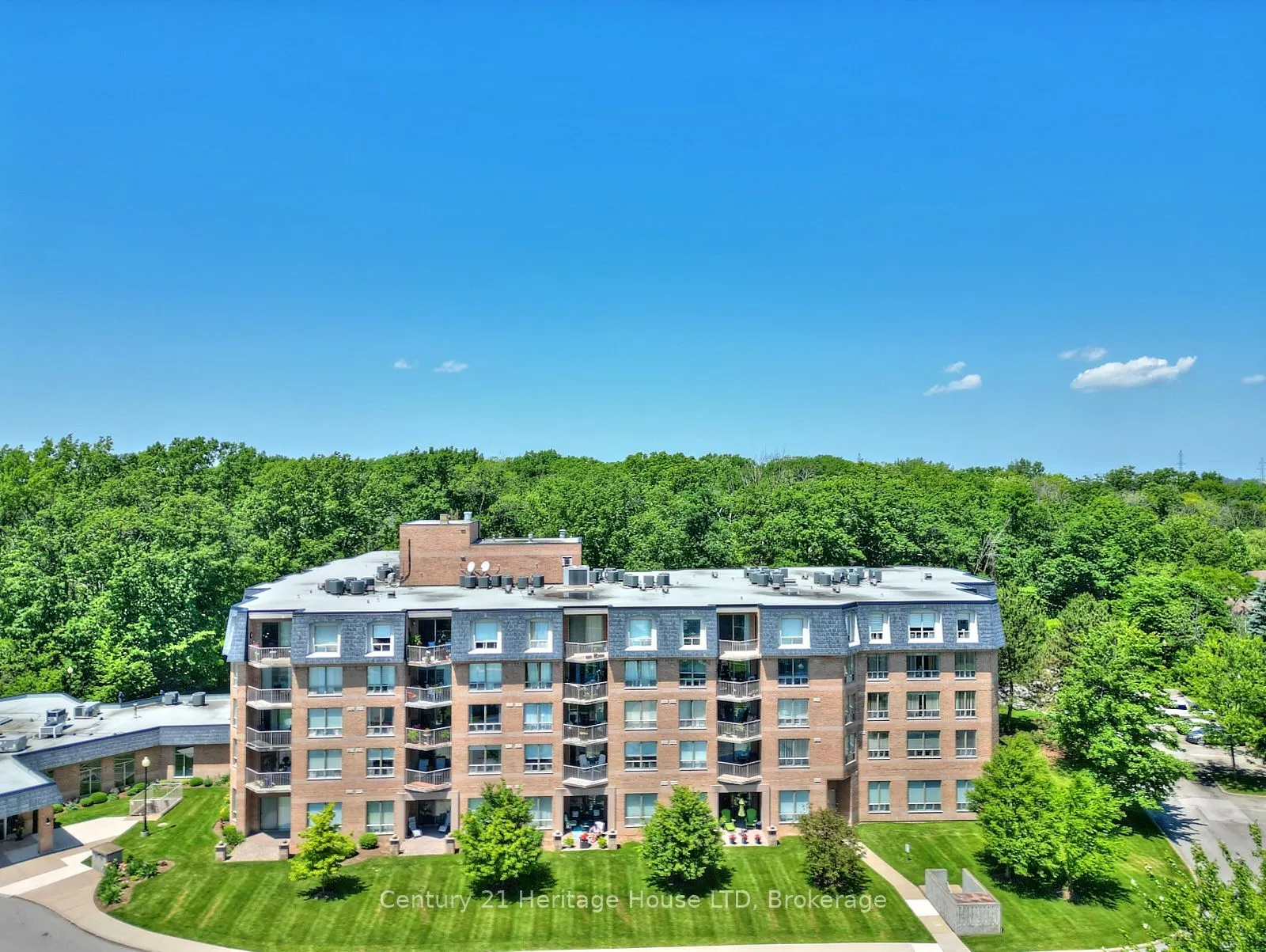 8111 Forest Glen Drive, #317