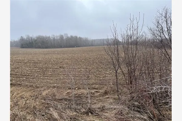 Lot 25 7 Concession